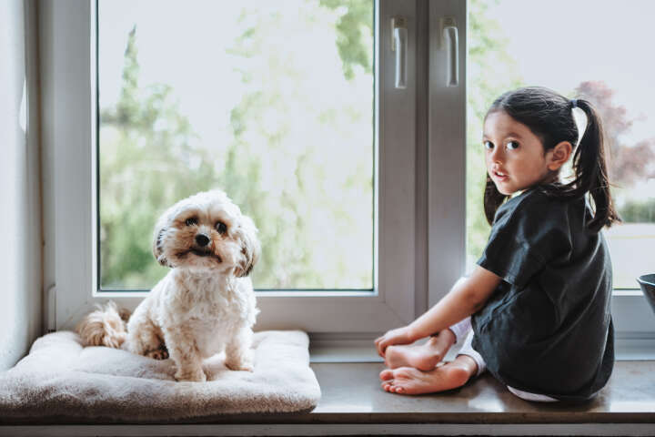 HUNTER Hundematte Rockford